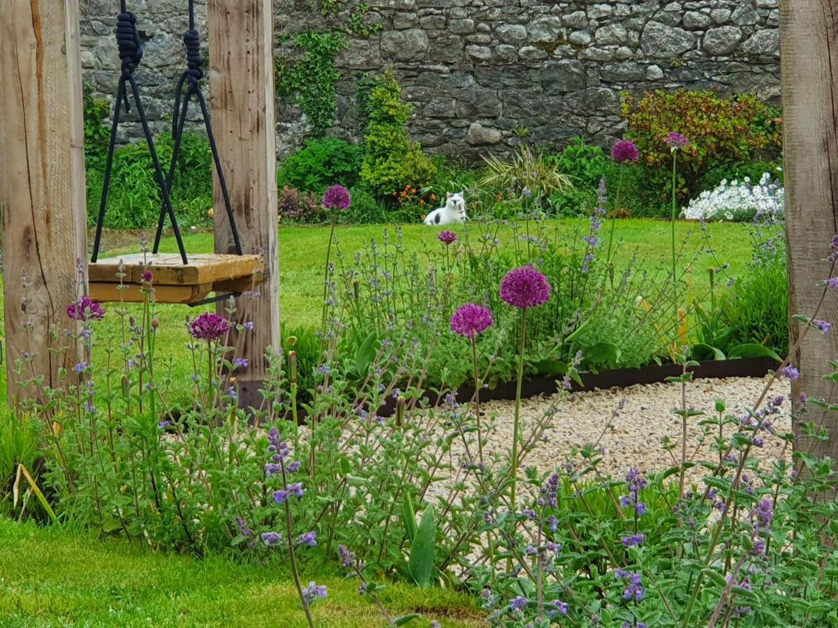 Bed and Breakfast The Harbour Masters House à Banagher Extérieur photo